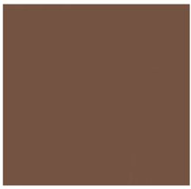 2in1 Hairline & Eyebrow Shaping Stamp