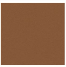 2in1 Hairline & Eyebrow Shaping Stamp